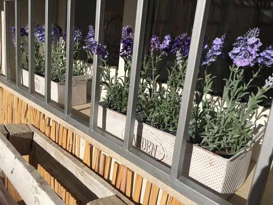 Oak House Oakplacescom Леон Экстерьер фото